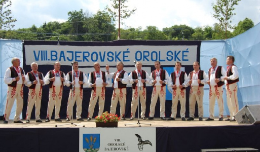 VIII. ročník Bajerovských orolských slávnosti (22.6.2008) 