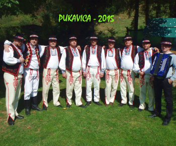 PUKAVICA